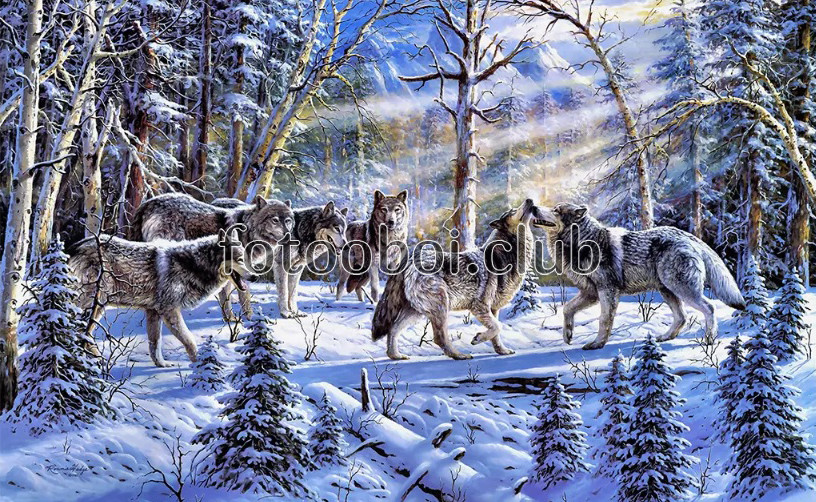 стая, волки, лес, снег, зима, дизайнерские, животные
